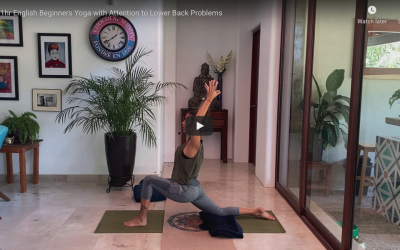 1hr Beginner Yoga (Bilingual)