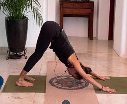 1-hour Hatha Intermediate morning flow