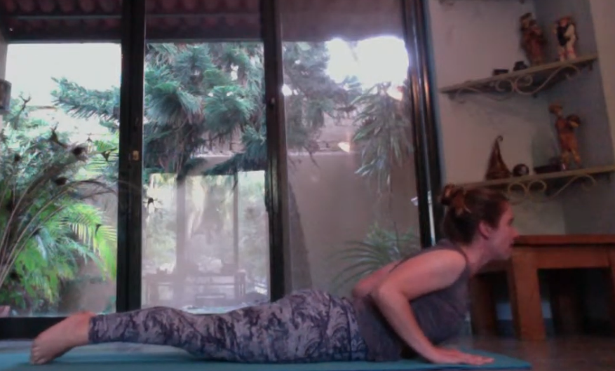 1hr Hatha Vinyasa All Levels (Bilingual)