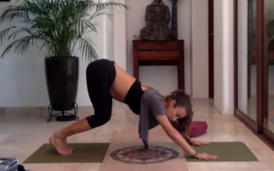 1hr Yoga for Beginners Tutorial! Make Downward Dog Your Friend!