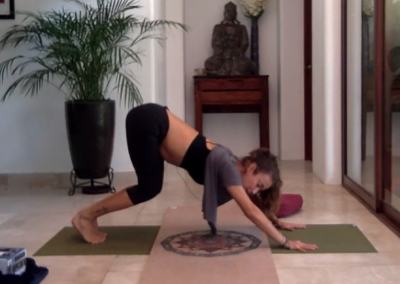 1hr Yoga for Beginners Tutorial! Make Downward Dog Your Friend!