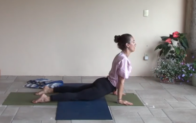 30min Soft Vinyasa