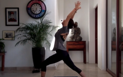 75min Vinyasa Flow (Bilingual)