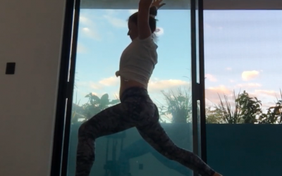 1hr Vinyasa all levels (Bilingual)