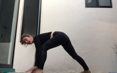 1hr Vinyasa Standing and Twisting (bilingual/bilingue)