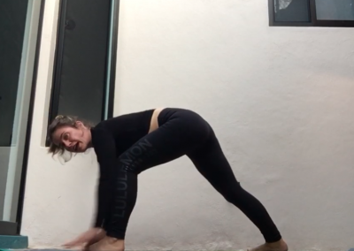 1hr Vinyasa Standing and Twisting (bilingual/bilingue)