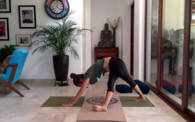 45min Intermediate Hatha Yoga Triangle Flow