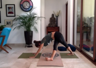 45min Intermediate Hatha Yoga Triangle Flow