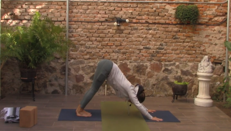 1hr Classic Hatha Yoga with Ana