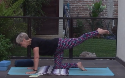 1hr Therapeutic Yoga for Hips