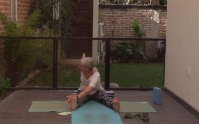 1hr Therapeutic Yoga for Hips