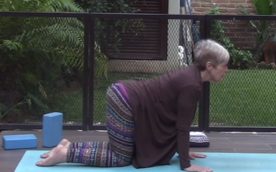 1hr Therapeutic Yoga for the Spine